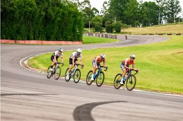 Cuatro ciclistas en fila cerrada tomando una curva de asfalto bordeada de césped.